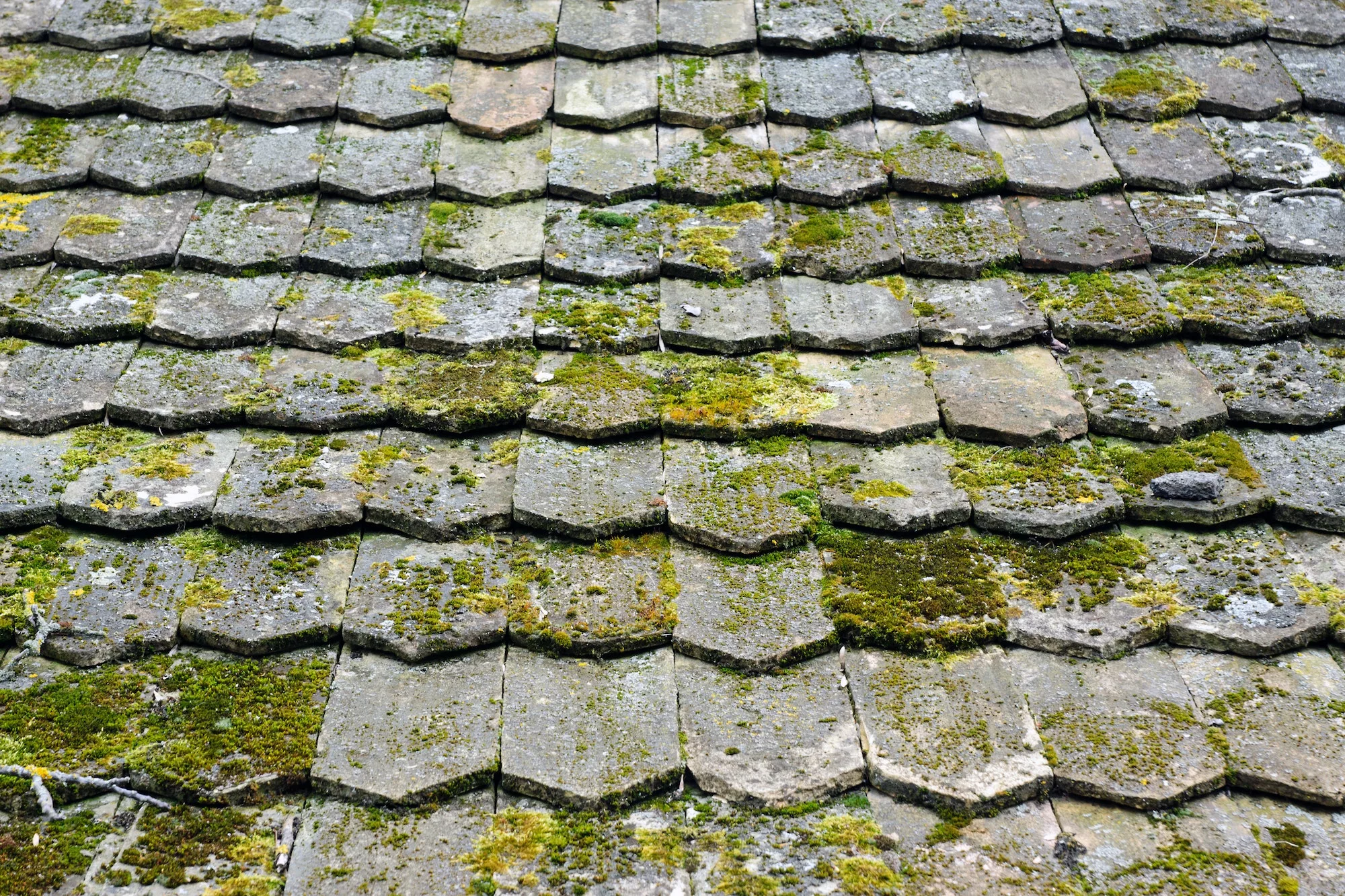 Old worn shingles